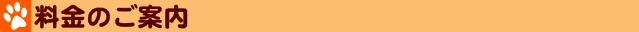 料金のご案内